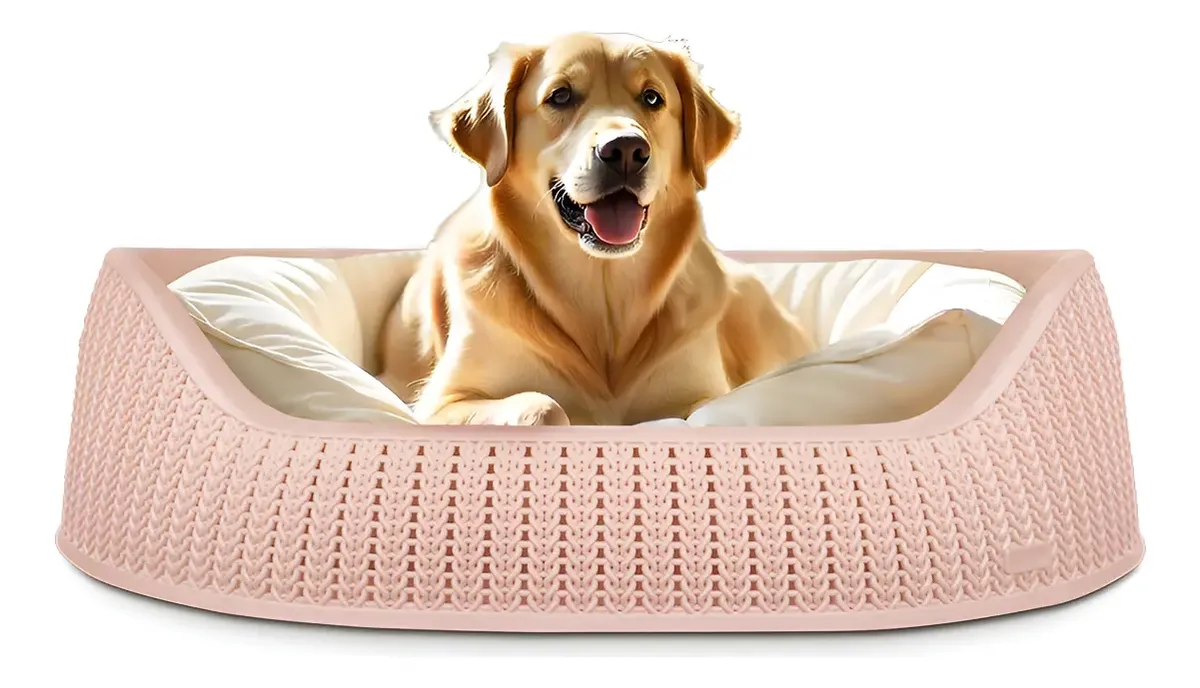 D_NQ_NP_2X_751873-MLA97251205365_112025-F Cama Cucha Perros Premium Abierta Lavable Con Colchoneta